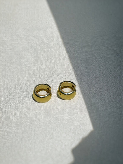 Wide Hoops Gold Earrings